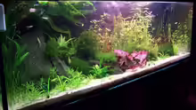 Aquarium Hauptansicht von Becken 6020