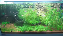 Aquarium Hauptansicht von Becken 6027