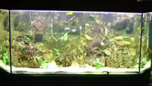 Aquarium Hauptansicht von Becken 606