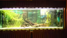 Aquarium Hauptansicht von Becken 6214