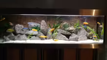 Aquarium Hauptansicht von Becken 6731
