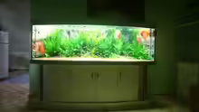 Aquarium Hauptansicht von Becken 6860