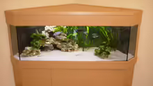 Aquarium Hauptansicht von Becken 692