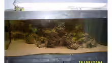 Aquarium Hauptansicht von Becken 703