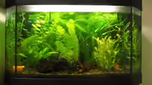 Aquarium Hauptansicht von Becken 7275