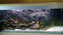 Aquarium Hauptansicht von Becken 7545