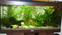 Aquarium Hauptansicht von Becken 7551