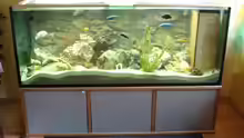 Aquarium Hauptansicht von Becken 769