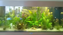 Aquarium Hauptansicht von Becken 7942