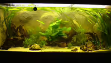 Aquarium Hauptansicht von Becken 8029