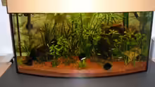 Aquarium Hauptansicht von Becken 8222