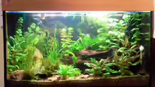 Aquarium Hauptansicht von Becken 8360