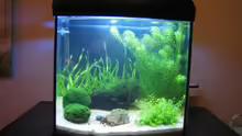 Aquarium Hauptansicht von Becken 8495