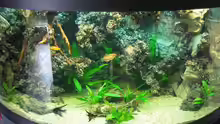 Aquarium Hauptansicht von Becken 8554