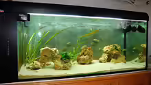 Aquarium Hauptansicht von Becken 893
