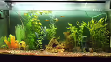 Aquarium Hauptansicht von Becken 8958