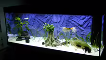 Aquarium Hauptansicht von Becken 9006