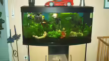 Aquarium Hauptansicht von Becken 976