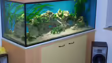 Aquarium Hauptansicht von Becken 979