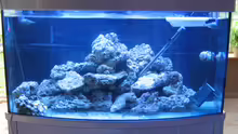 Aquarium Hauptansicht von Deltec