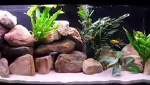 Aquarium Hauptansicht von Deltec