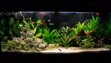 Aquarium Hauptansicht von Fluval Roma 240