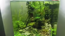 Aquarium Hauptansicht von GreenWave