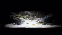 Aquarium Hauptansicht von Lake Tanganyika (Rock zone)