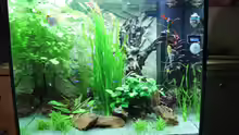 Aquarium Hauptansicht von Lido 200