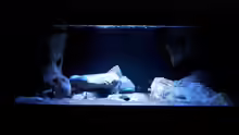 Aquarium Hauptansicht von Malawi im Wohnzimmer (als Beispiel)