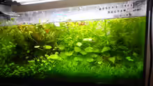 Aquarium Hauptansicht von Mikrokosmos 2.0