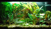 Aquarium Hauptansicht von Neonpower XD