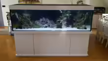 Aquarium Hauptansicht von Neues Becken