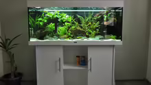 Aquarium Hauptansicht von Rio Orinoco 2