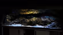 Aquarium Hauptansicht von Rockzolid Cave (Aufgelöst)