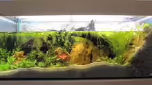 Aquarium Hauptansicht von Steilküste mit Wasserfall