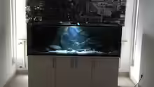 Aquarium Hauptansicht von Tank 2 NonMbuna