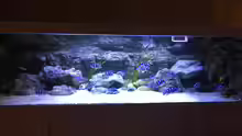 Aquarium Hauptansicht