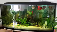 Aquarium Hauptansicht