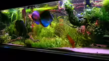 Aquarium Home sweet home