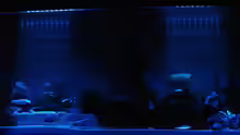 Aquarium im Mondlicht