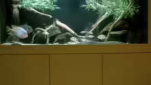 Aquarium jetz