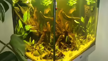 Aquarium Juwel Lido 200 weiss Fx