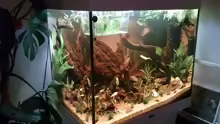 Aquarium Juwel Lido 200 weiss Fx