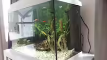 Aquarium JUWEL Rekord 700