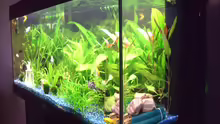Aquarium Juwel Rio 180