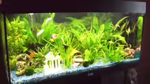 Aquarium Juwel Rio 180