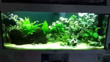 Aquarium Juwel Rio 240