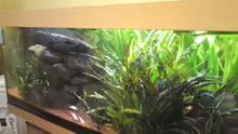 Aquarium Juwel Rio 400