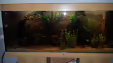 Aquarium Juwel Rio 400